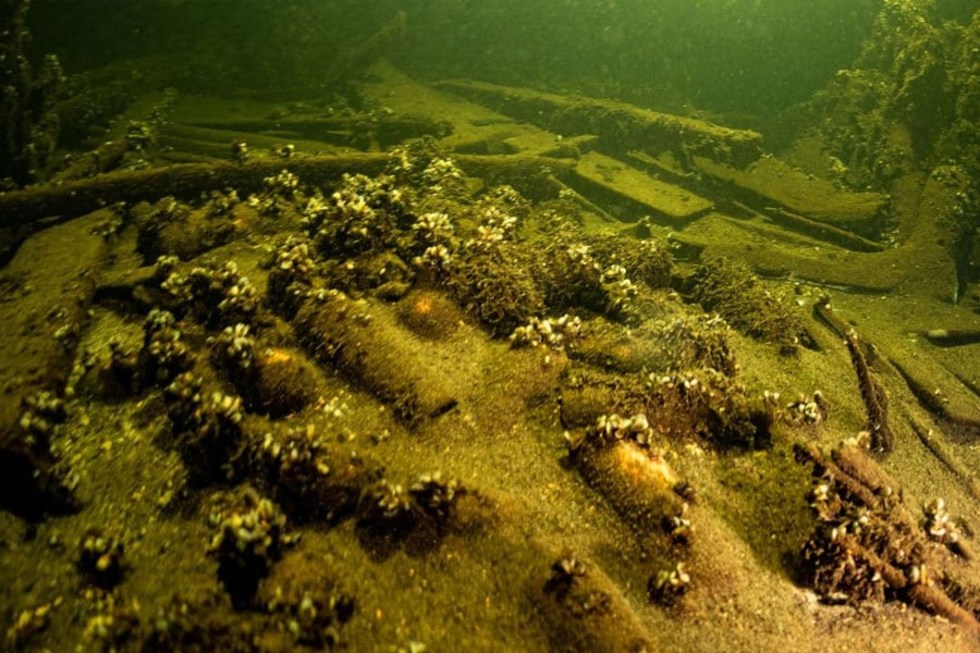 175-Year-Old Bottles Of Champagne Discovered By Polish Divers In A Shipwreck