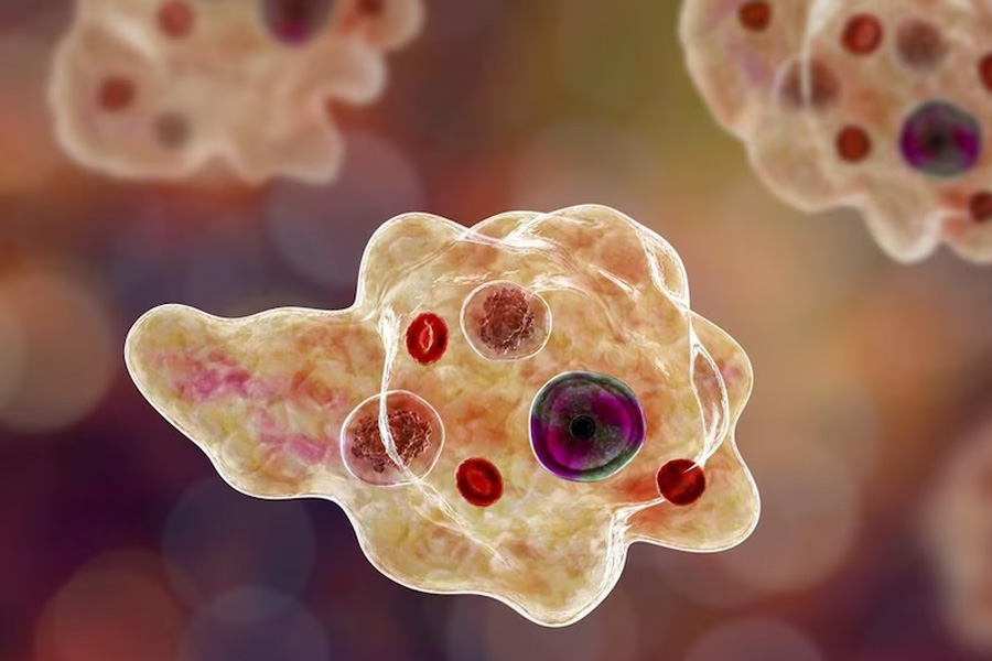 Fourth case of brain-eating amoeba infection reported in Kerala