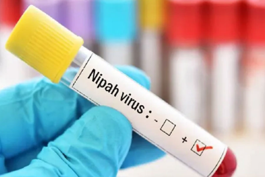 Nipah virus case confirmed in Kerala