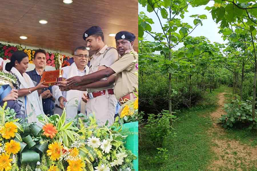 Junglemahal wins two awards in state festival
