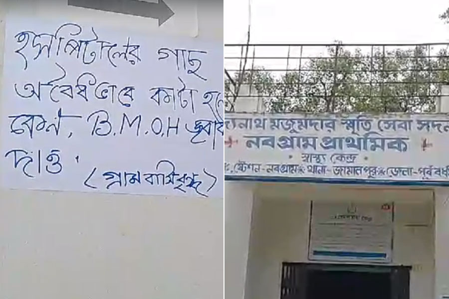 Purba Bardhaman: Doctor is accused of illegally cutting trees