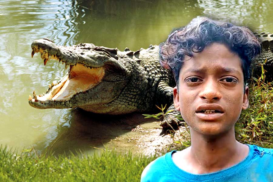 South 24 Parganas: Brave teenager tried to save father from crocodile in Pathar Pratima but failed
