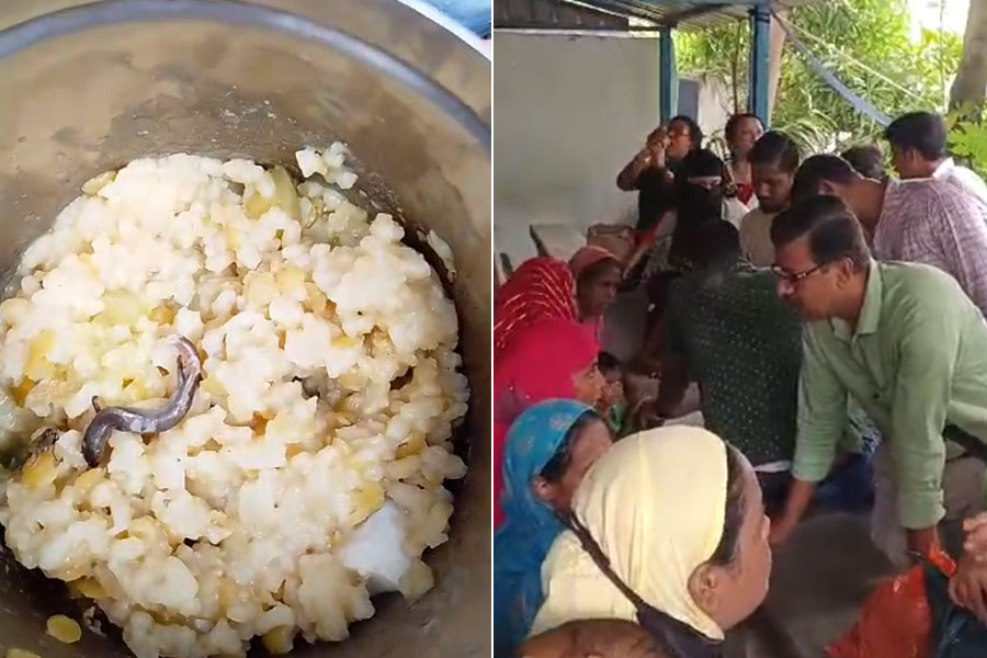 Chameleon in mid-day meal food at school in Howrah