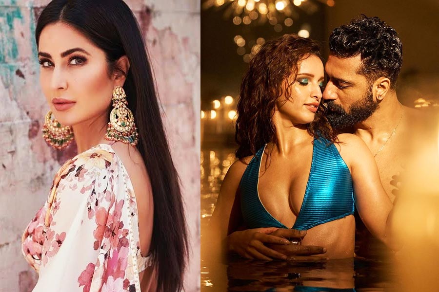 Vicky Kaushal shares Sizzling Chemistry With Triptii Dimri, netizen teases