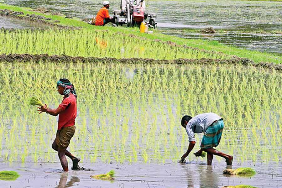 WB agriculture minister speaks about expenses for farmers in assembly