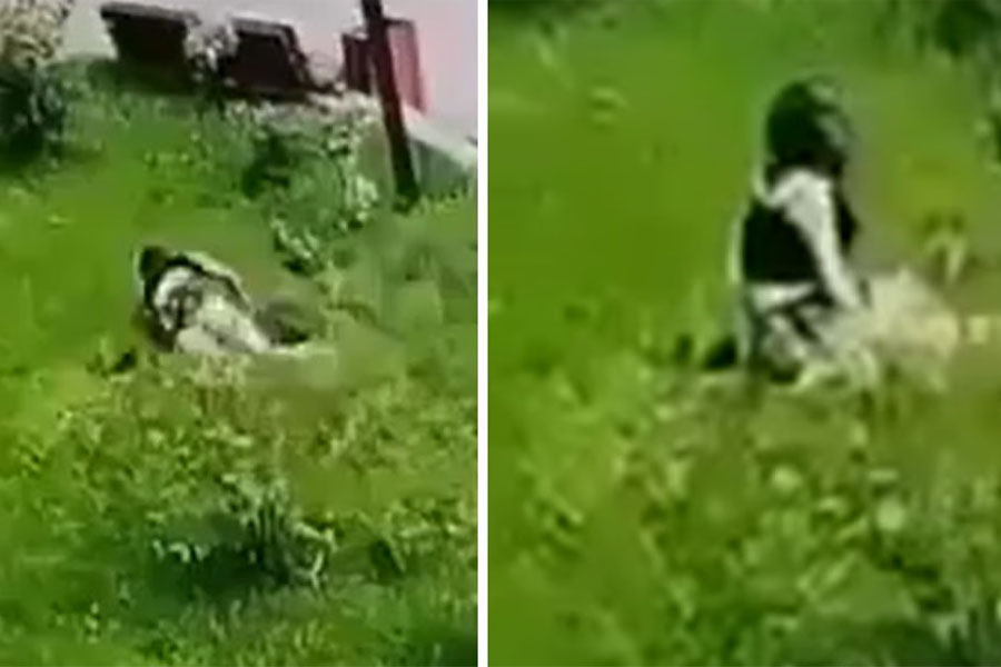 22 years old girl in Russia falls from the 13th floor of a high-rise building, and survives