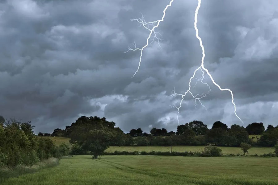 Farmer died in field due to lightning in Haringhata