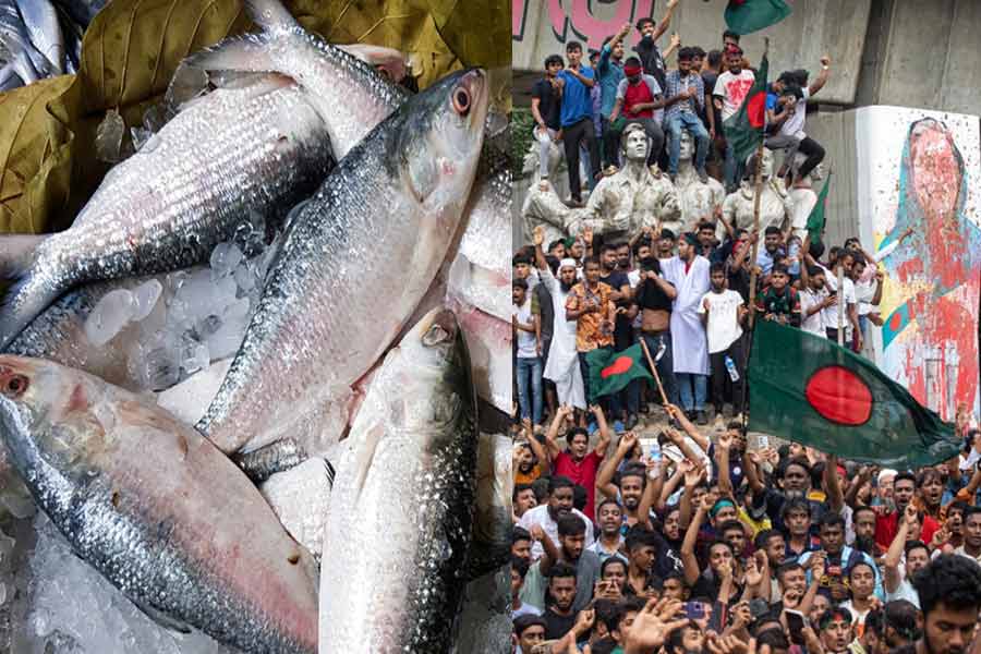 Hilsa supply reduced in West Bengal due to present situation of Bangladesh