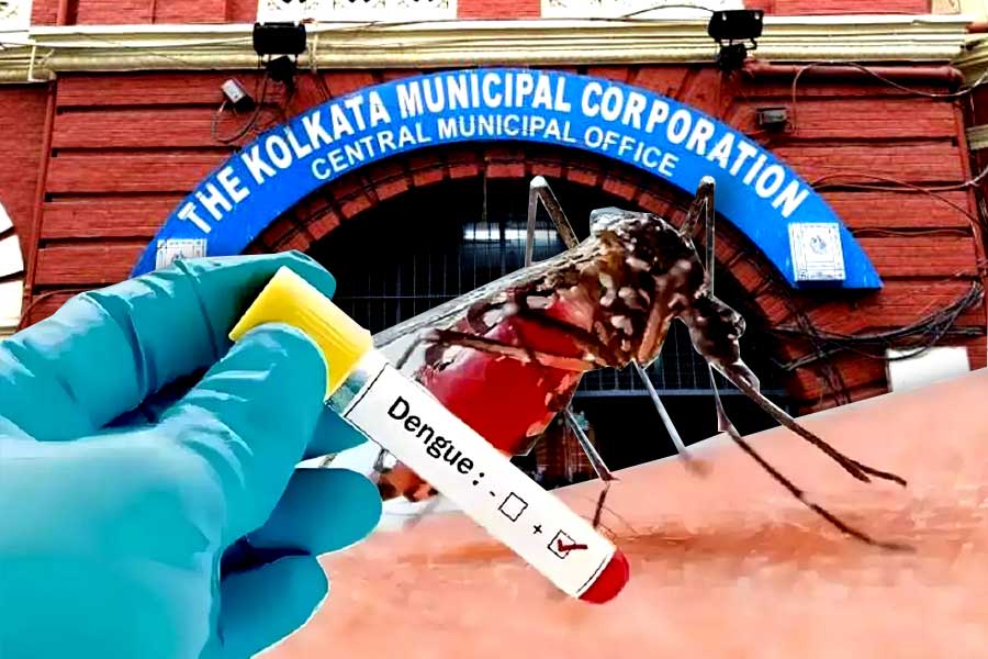 Kolkata municipality reported less dengue in Kolkata than Previous Year