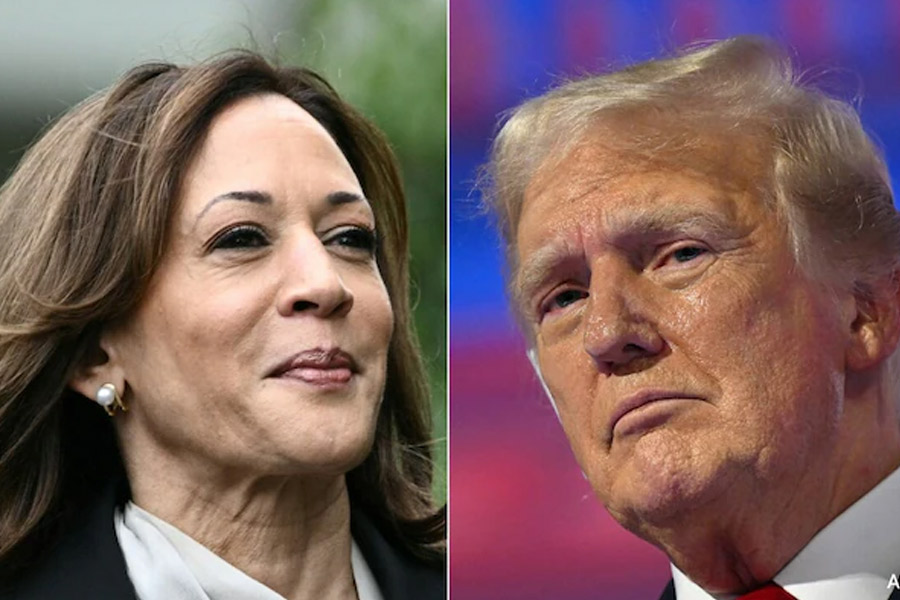 Kamala Harris leading USA presidential race over Donald Trump