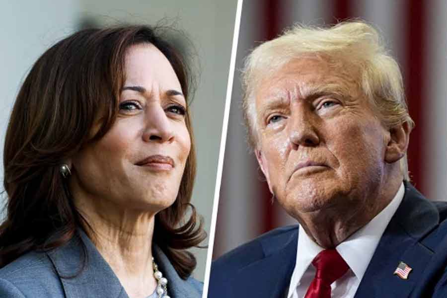 Donald Trump or Kamala Harris, who is ahead in presidential race in USA