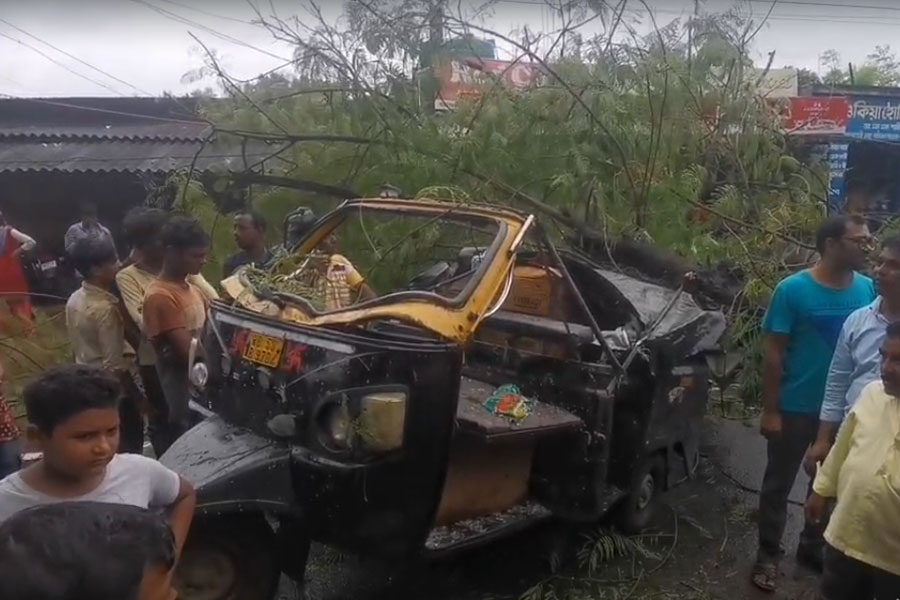 Suri businessman died after tree fell on car