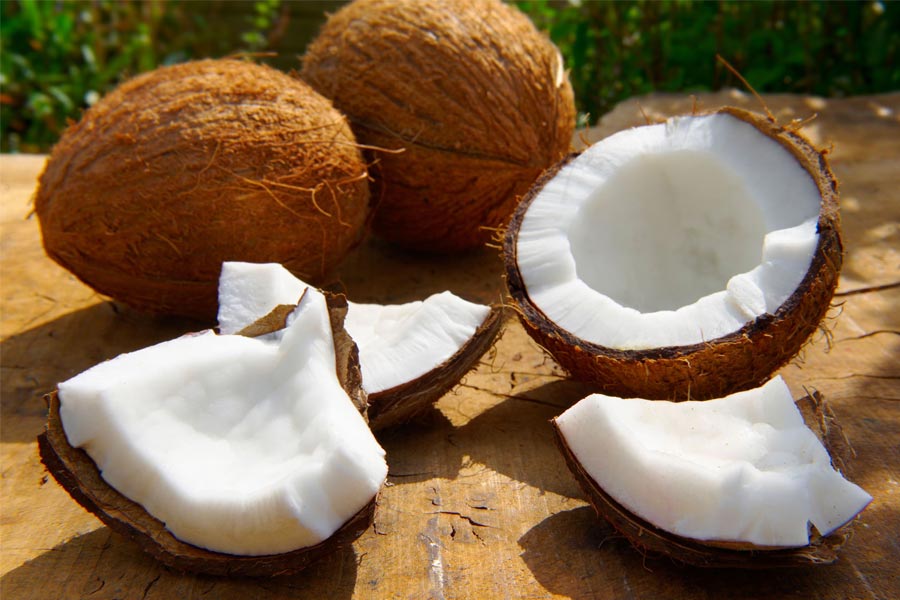 Durga Puja 2024: Know about these health benefits of Coconut before Durga Puja