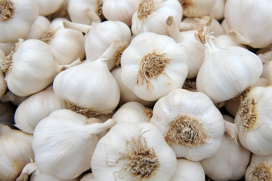Chinese garlic seized from Howrah