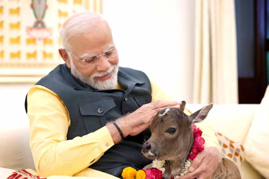 A new member PM Narendra Modi's residence at 7, Lok Kalyan Marg!