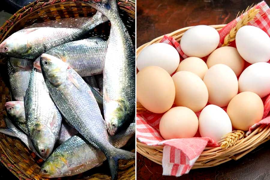 India exports huge eggs to Bangladesh despite the neighbouring country bans hilsa import