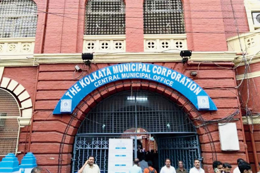 Snake scare again at Kolkata Municipality