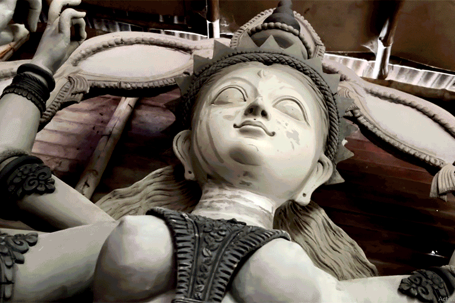 Kolkata Durga Puja 2024 Theme: Interesting facts about Wellington Nagrik Kalyan Samiti's Puja