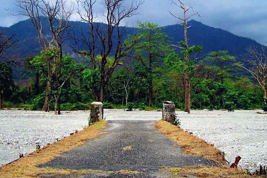 One day Dooars Darshan package started for tourists