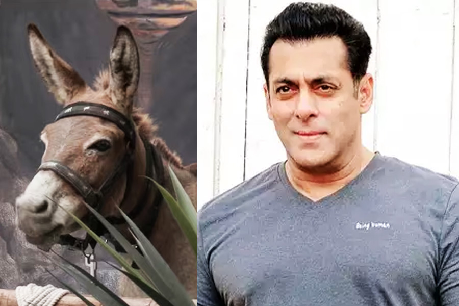 Bigg Boss 18: Donkey removed from show after PETA urges makers, Salman Khan