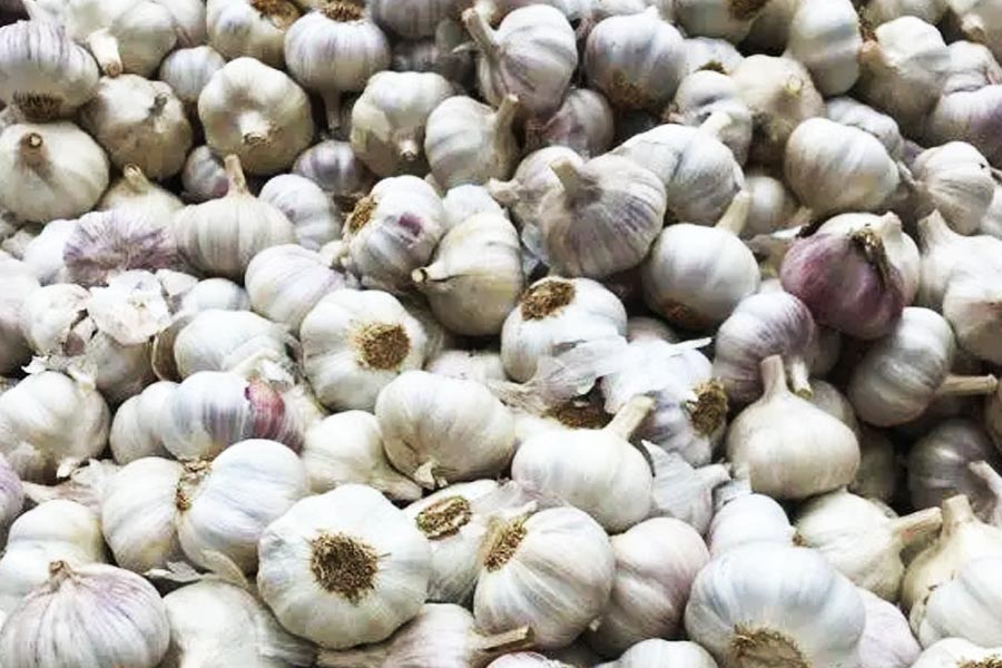 Chinese garlic are harmful for health, sold in Kolkata in huge number