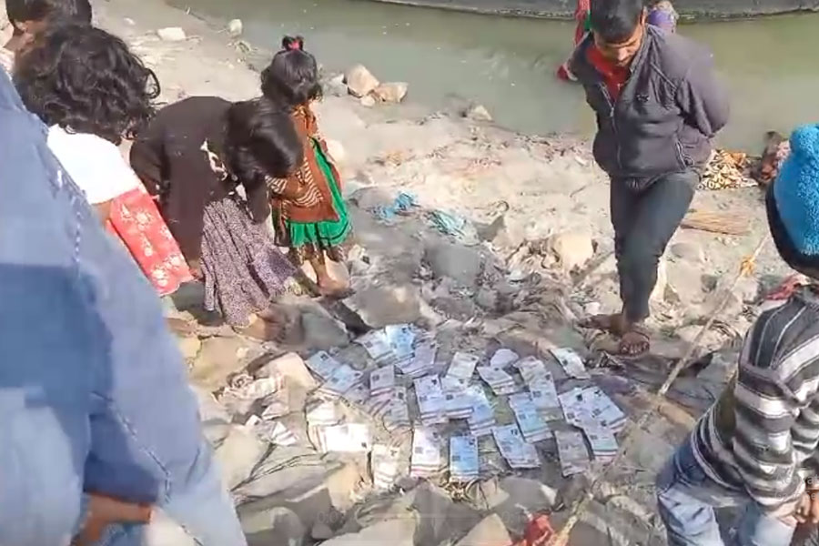 Aadhaar cards fell on the banks of the Ganga in Murshidabad's Farakka
