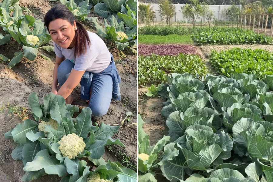 Jaya Ahsan: Actress shared video of her farming