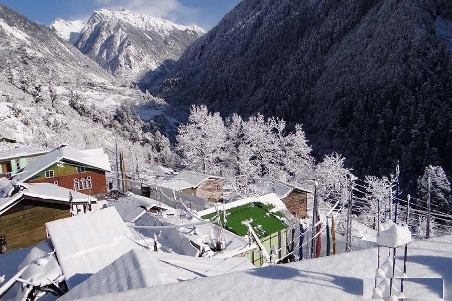 Sikkim see huge Snowfall