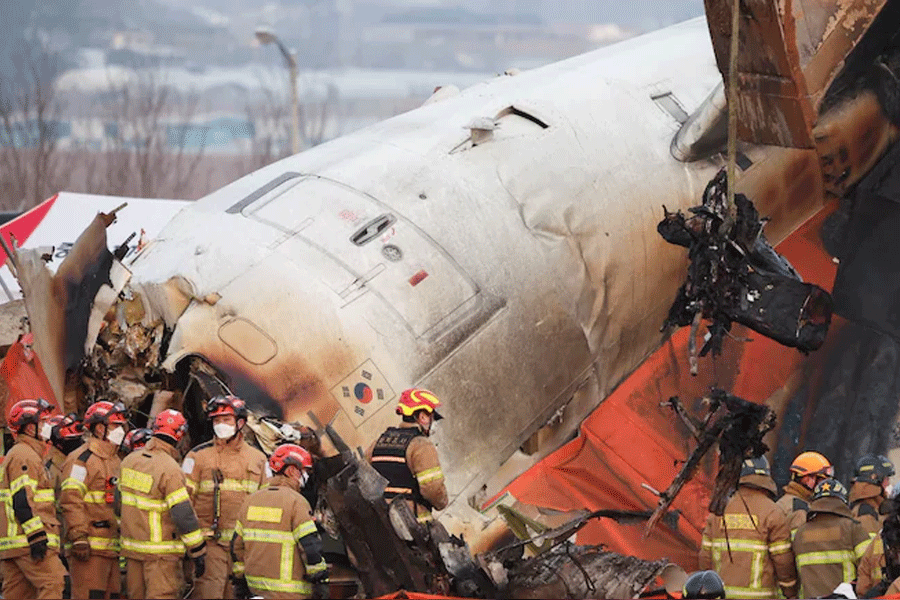 2 Survivor Of Korea Plane Crash That Killed 179