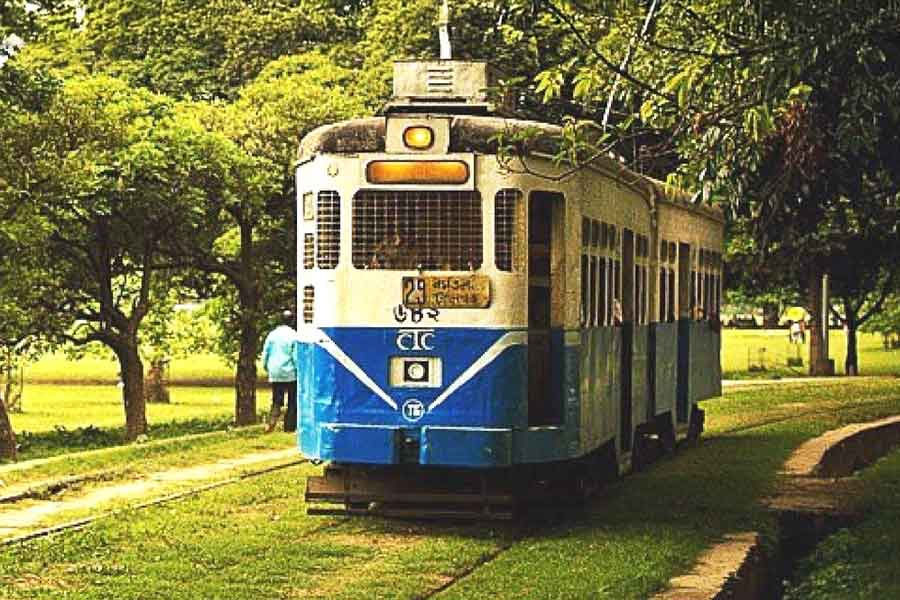 Calcutta HC directs not to uproot Tramlines till further order
