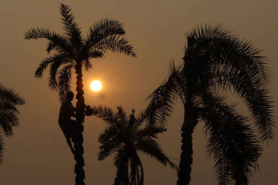 Weather Update: Temperature drops in Bengal