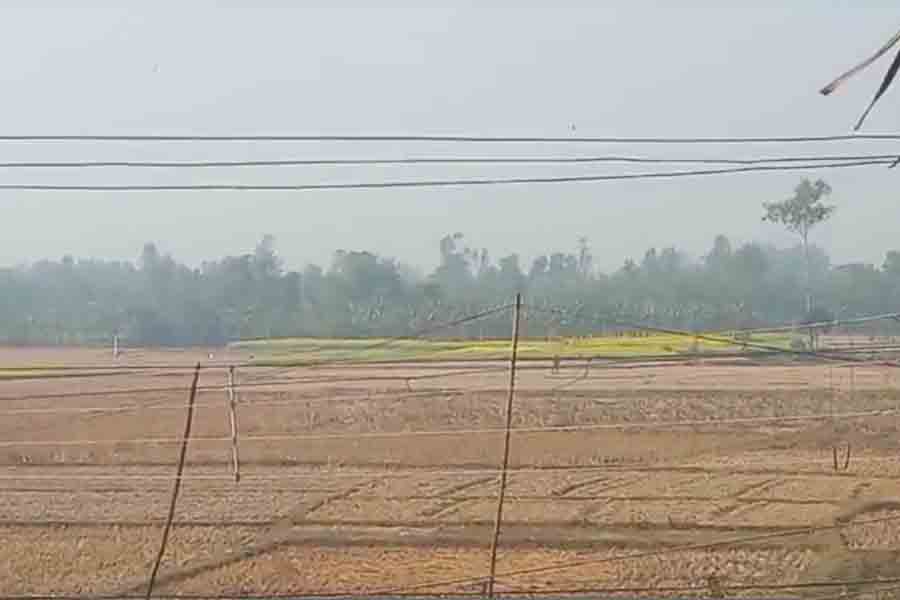 BGB allegedly stopped BSF for fencing in Balurghat border
