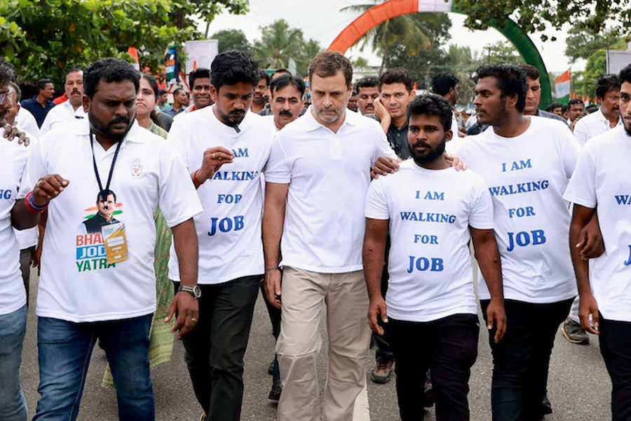 Congress' Rs 8,500 monthly promise to unemployed youth ahead of Delhi polls