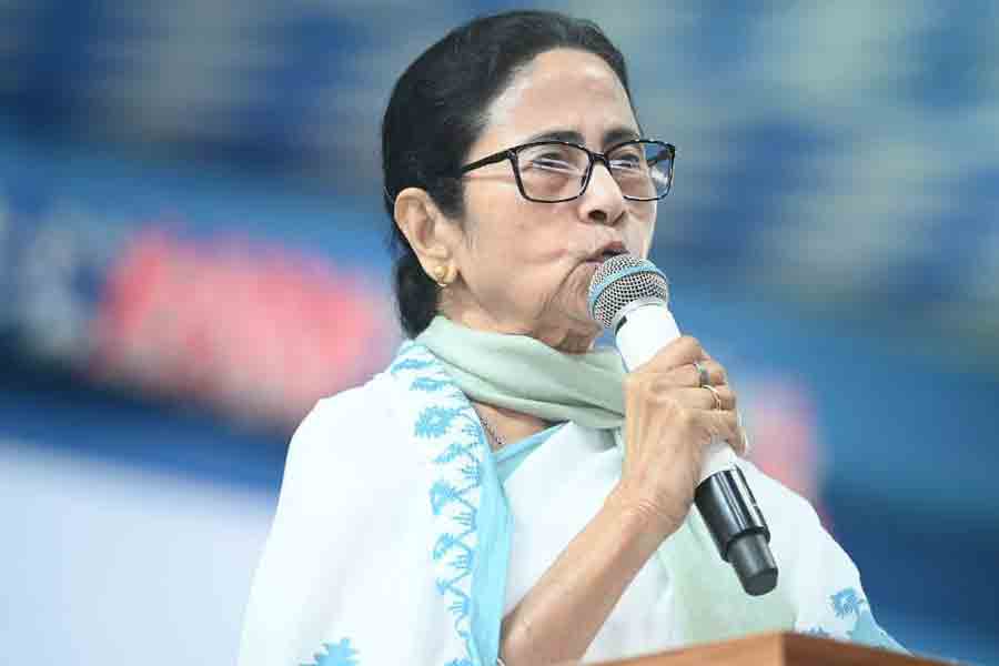 Mamata Banerjee fumes on tiger entering in WB from other states