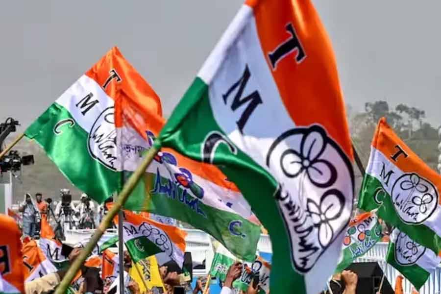 TMC declared two days rally in the end of the week