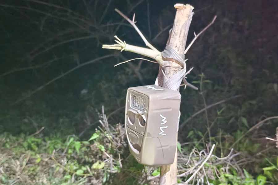 Trap-Camera
