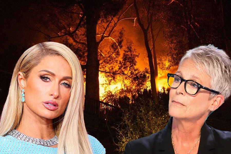 Los Angeles Wildfire: Hollywood stars lost their homes due to Bushfires