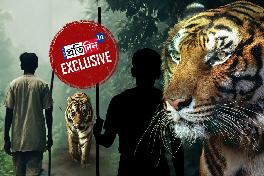 বিপদে বন্যপ্রাণ, ভয়ংকর ‘বাঘখেকো’ মানুষ
