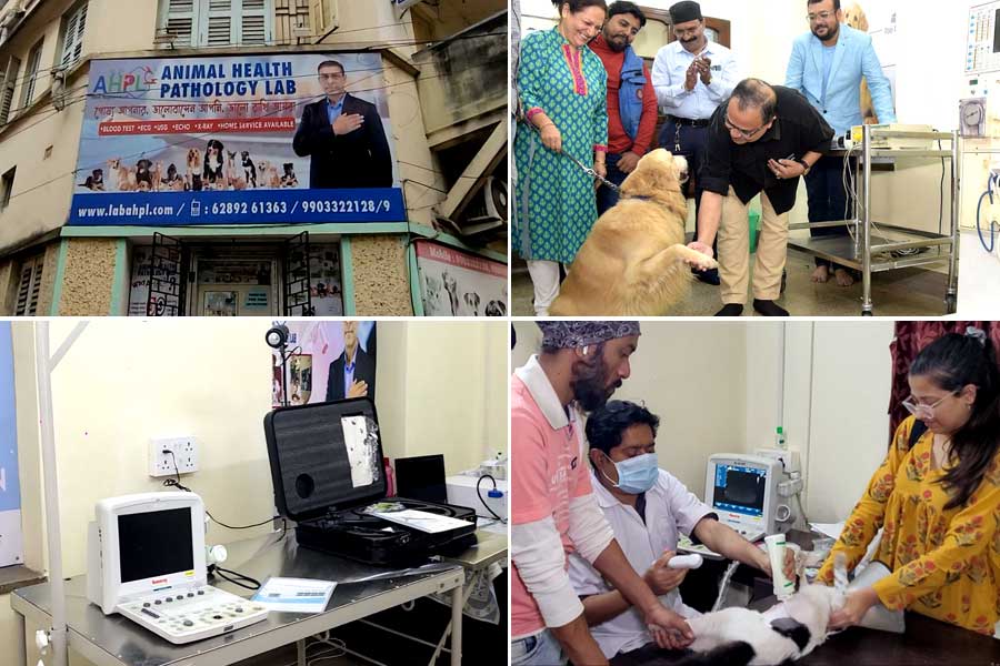 পশুদের চিকিৎসার অত্যাধুনিক ব্যবস্থা দক্ষিণ কলকাতার বালিগঞ্জে