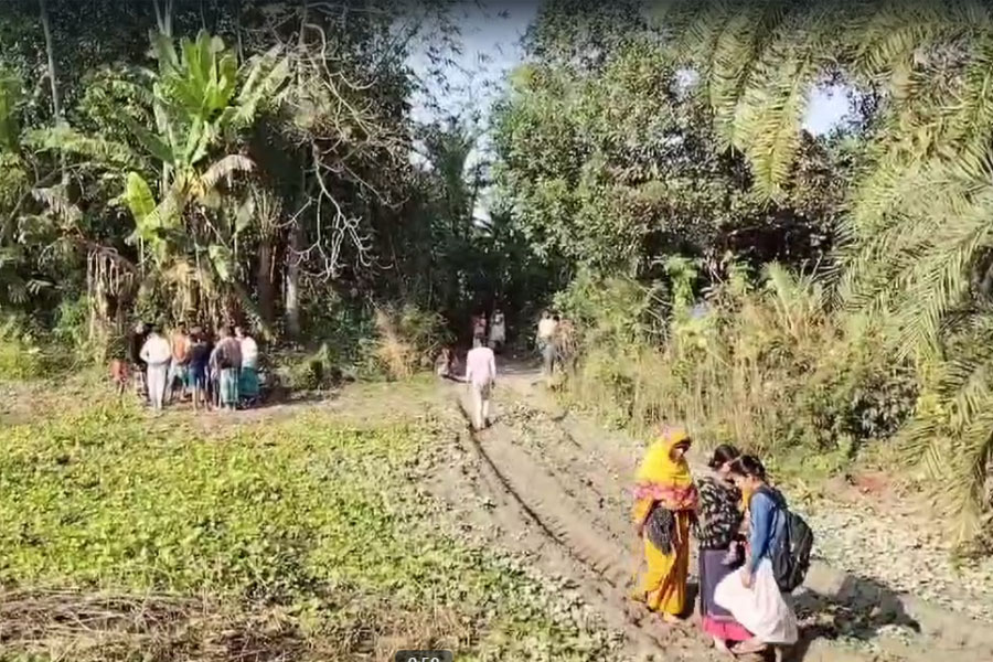About a thousand turtles were rescued at Bangaon border