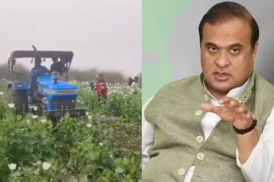 Himanta Biswa Sarma spoils Udta Assam party, warns local Pablo Escobars