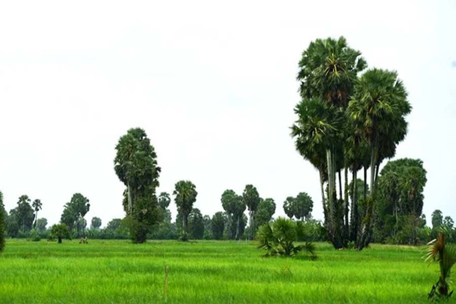 A human skeleton found in Sodpur