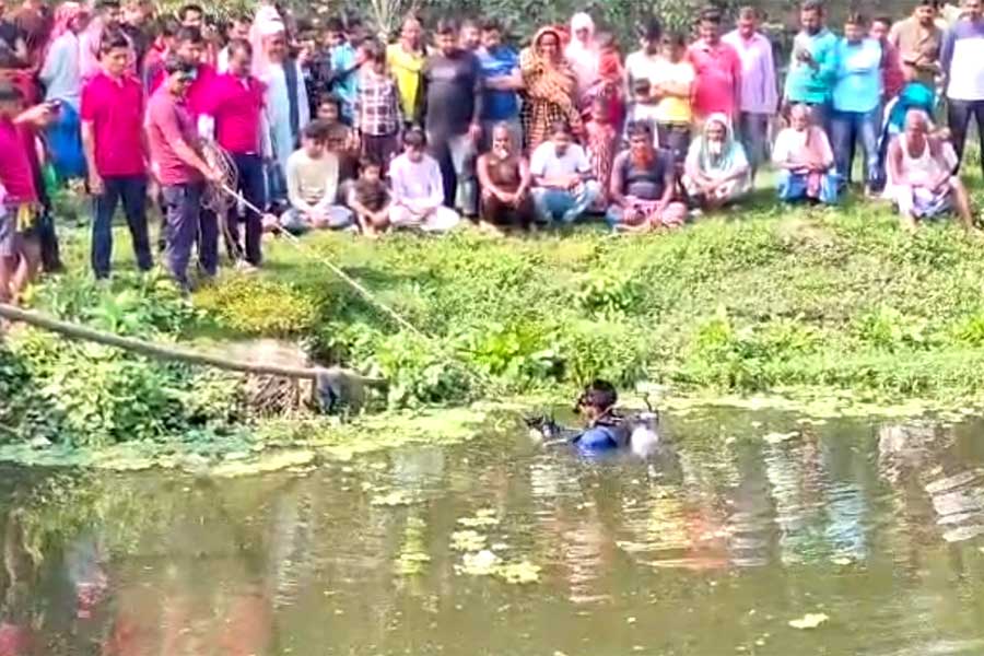 Cut heads have not been found in Duttapukur