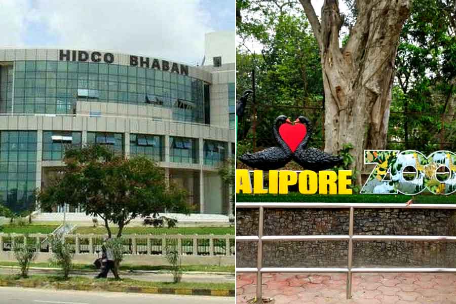 zoo's quarantine center will be near the Alipore Women's jail