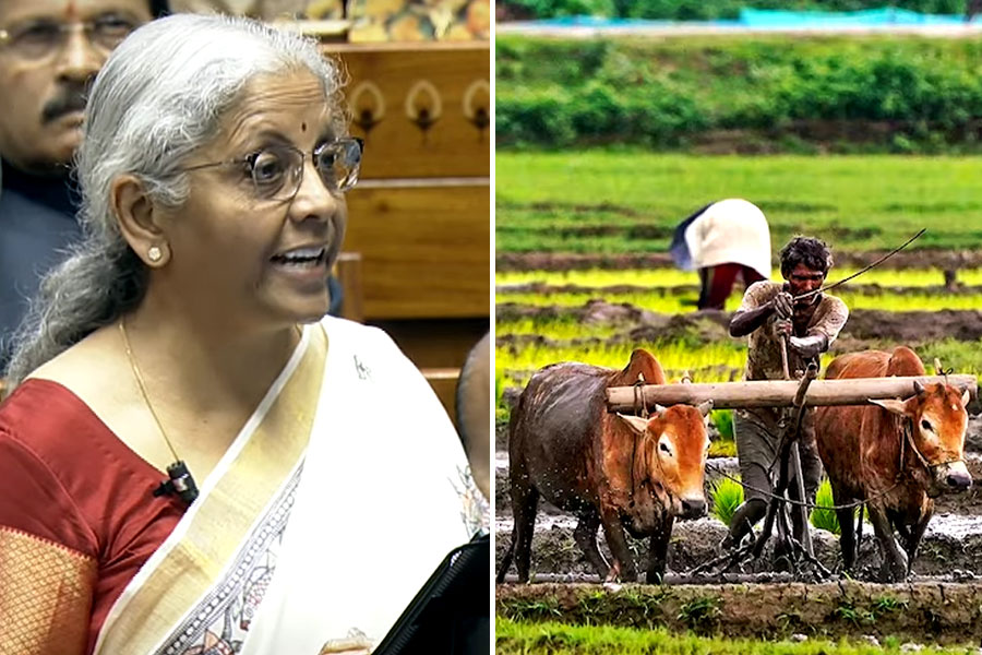 Union Budget 2025: Nirmala Sitharaman announces PM Dhan Dhaanya Krishi Yojana