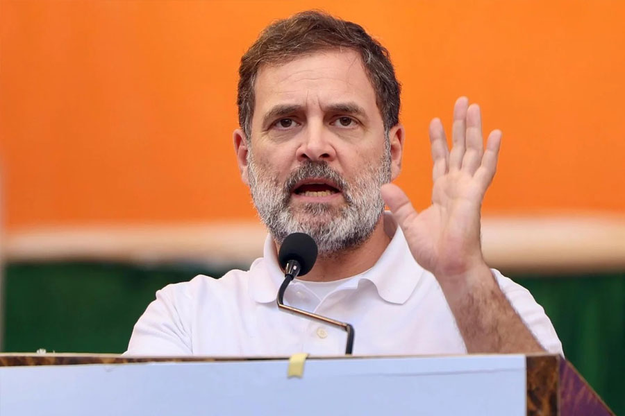 Court seeks report from centre on Rahul Gandhi's dual citizenship by may 5
