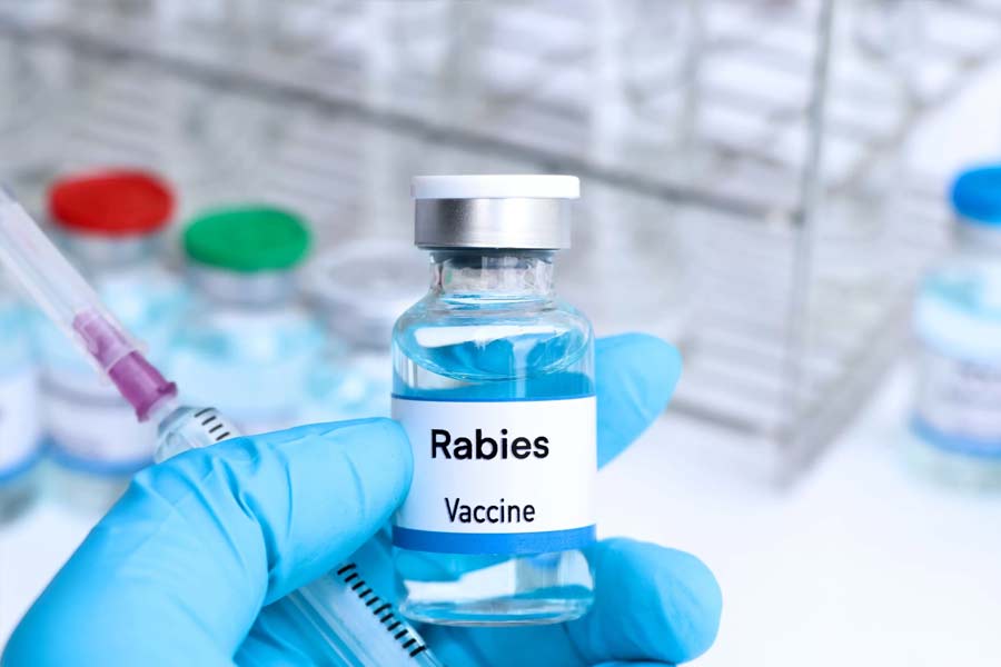 There is no anti-rabies in the district hospital, patients are facing problems