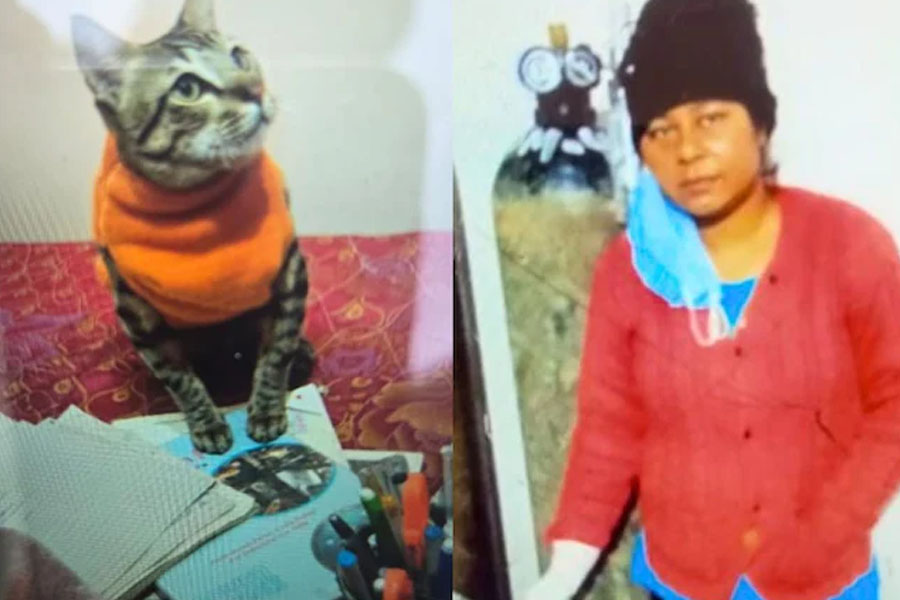 UP woman's cat dies, she keeps body for 2 days, then kills herself