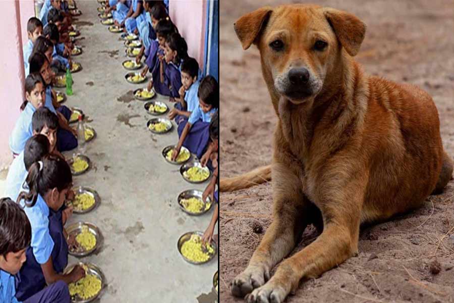 School education department gives a notice over mid day meal