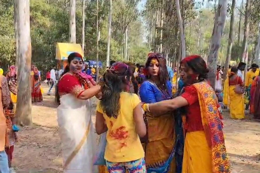 Locals and tourists at Sonajhuri celebrates holi